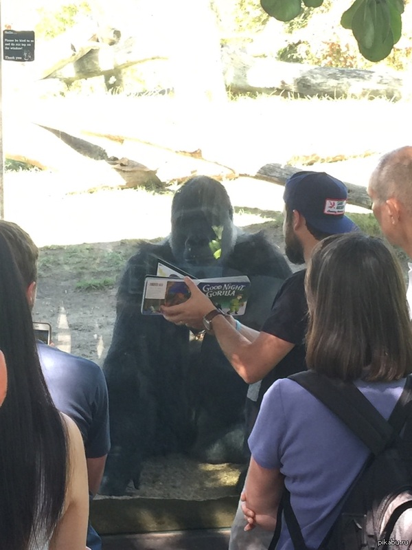 &quot;         &quot;