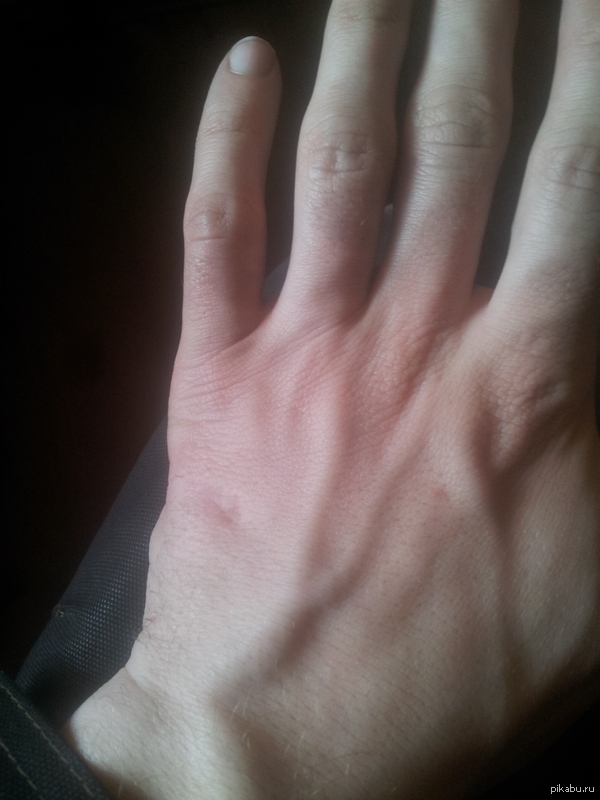 ����������� 1 ������ 2010 ����. ���� � ���� ������ �� ����������� ������.