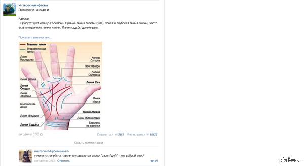 � ����� ������