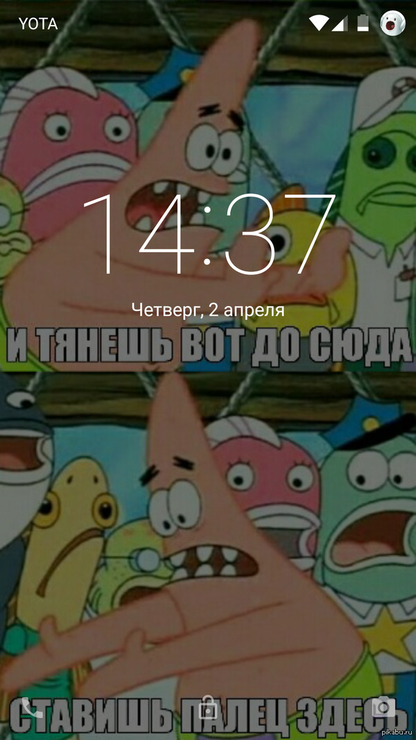    (  )   