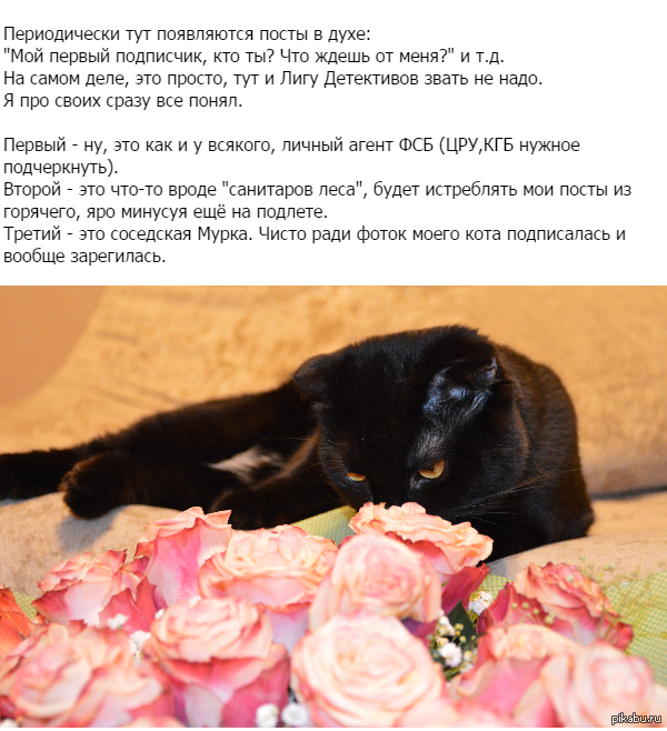 �����, ��� ����!:))