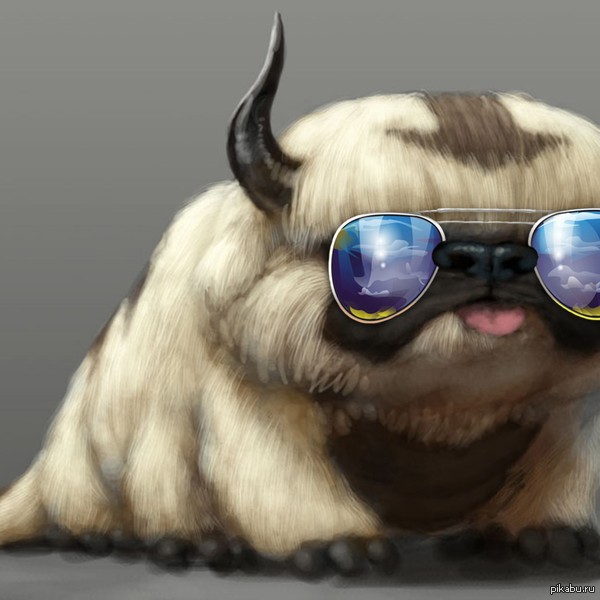 Cool Appa) - Deal with IT, Flying bison, Glasses, Appa, Flying Bison, Avatar: The Legend of Aang, Avatar: The Legend of