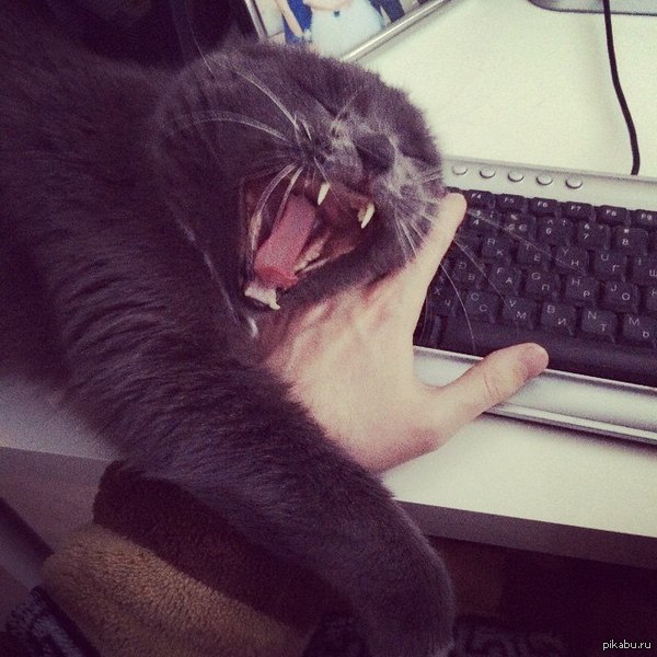 ��� �������� � ������ �����! ������� ������