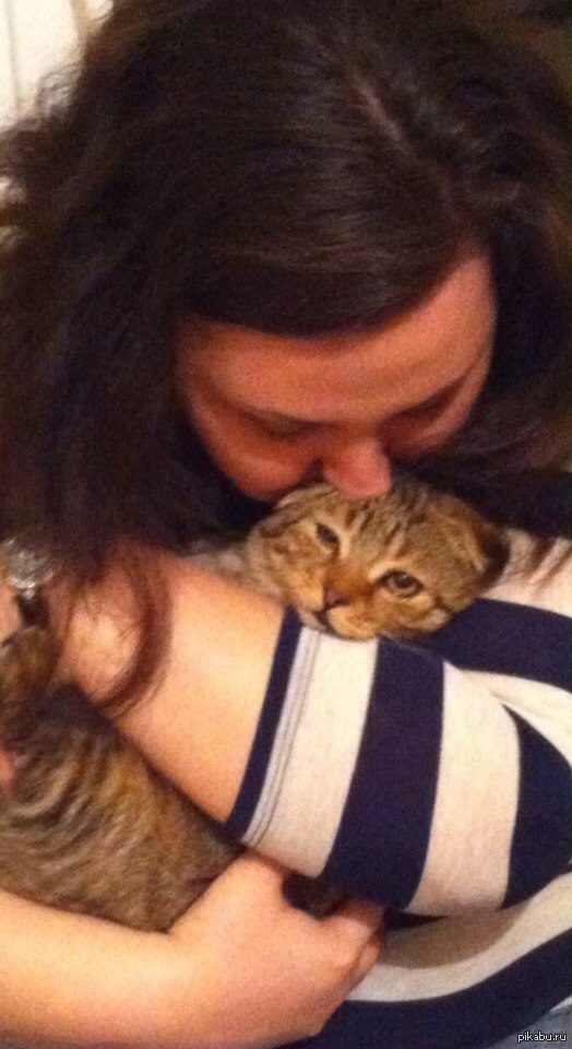 Посвящается гостям