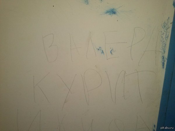 ����, ��������, ���� ���� �� ���������!