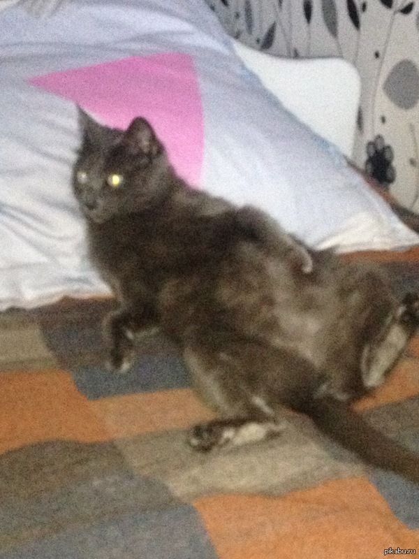 ��� �����!!!