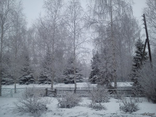 ����� � ������� ������ ������ �� �������� ��������