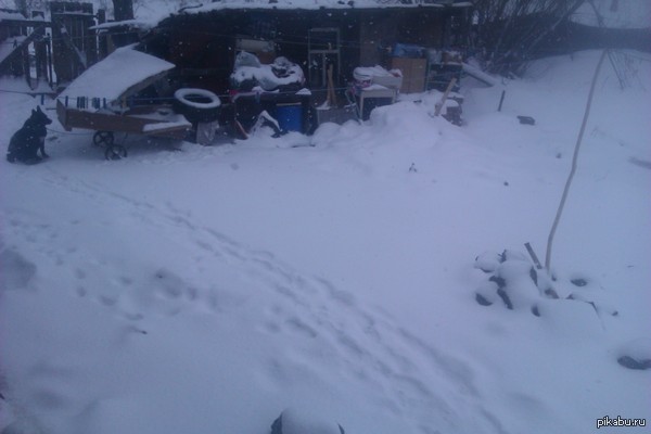 Какого хрена, Апрель?