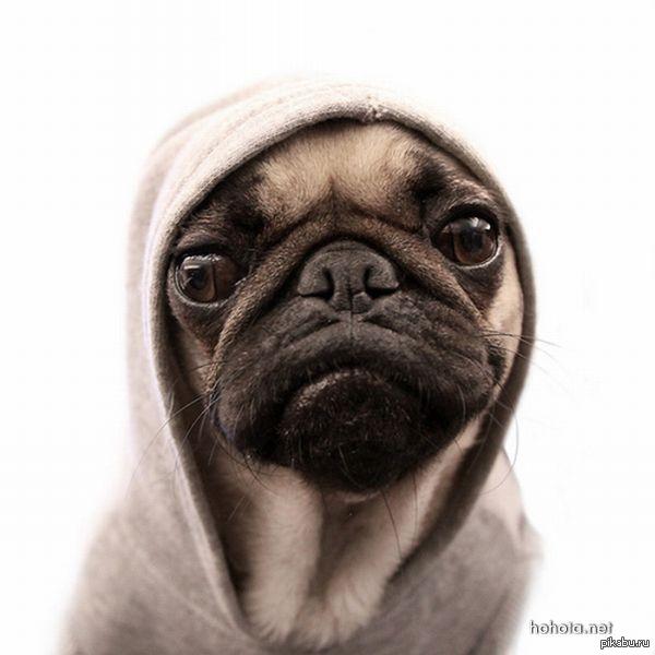 �� �� ��