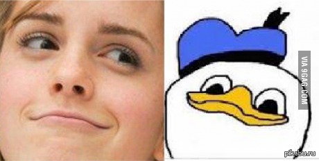 ���� ������ ������ ������ �� ������.