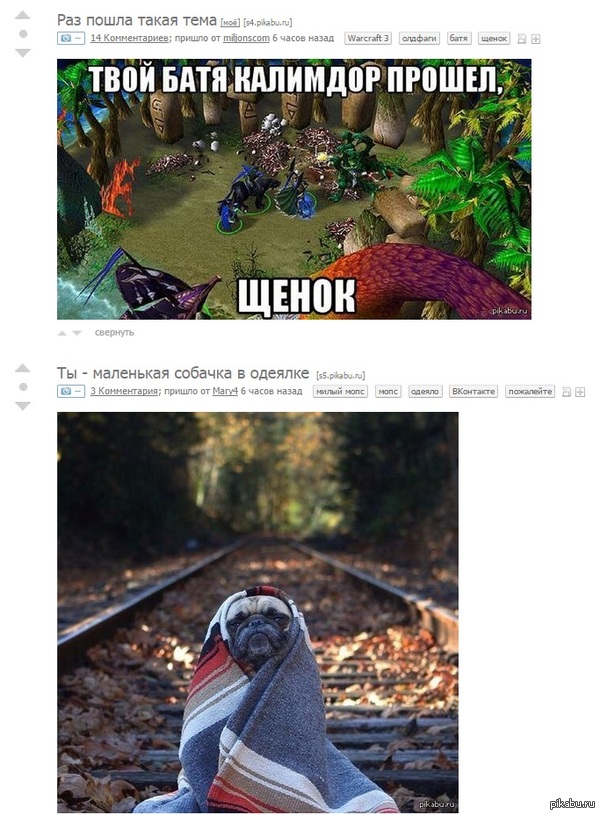 ����������. ���� � �����!