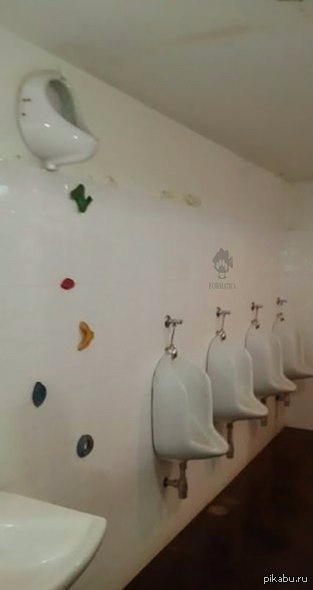 ��� �����������