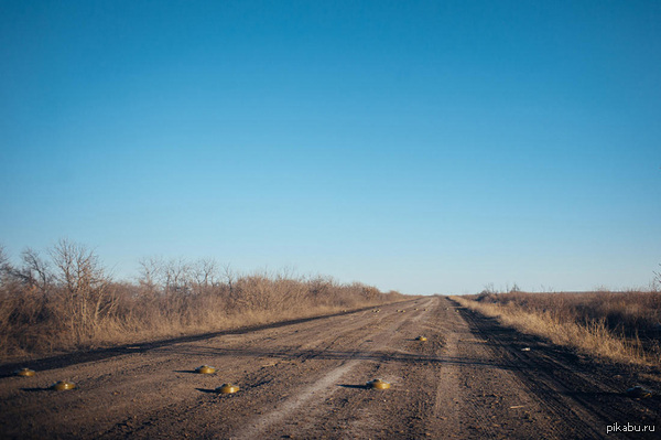 ��� ������ �������