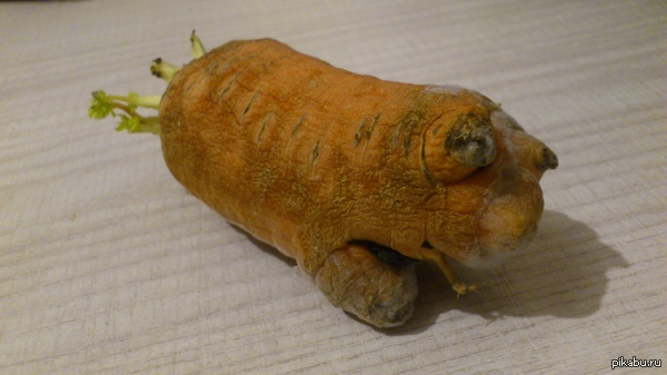 �� ��� �� ������ � ����?