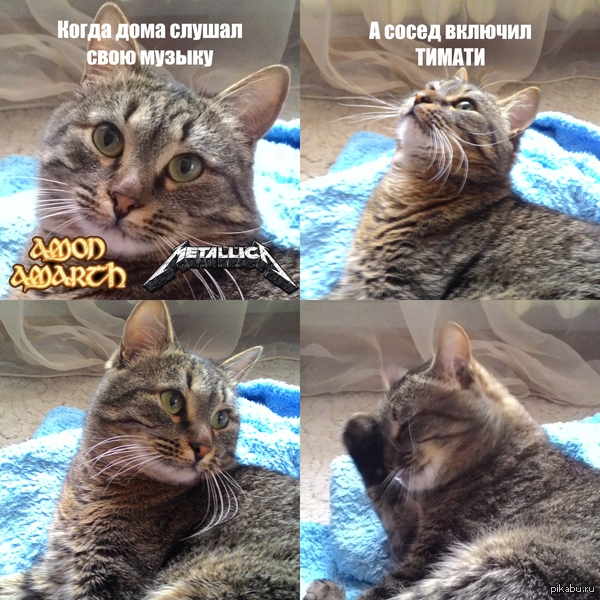 ����� ������ ������� ������� ������