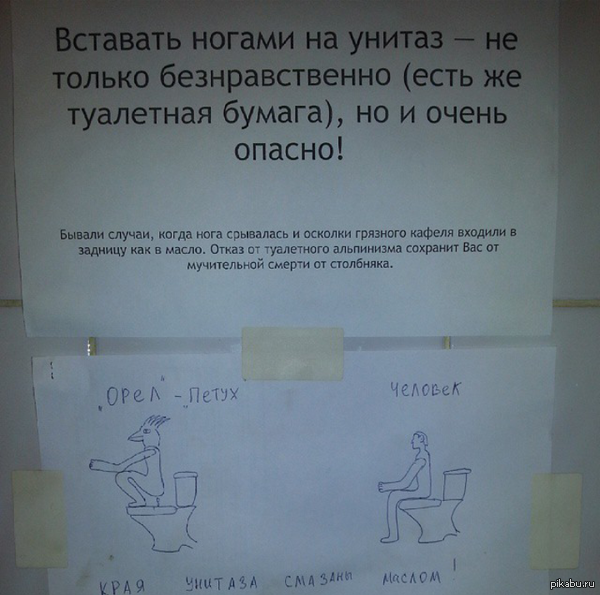 Как правильно ходить в туалет | Пикабу