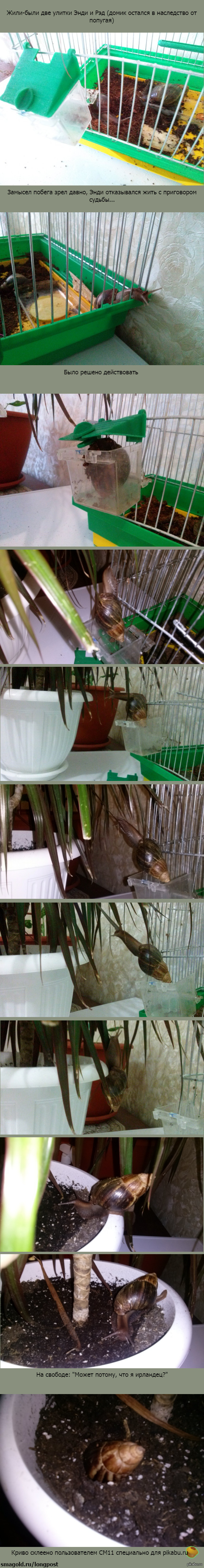 Побег из Шоушенка