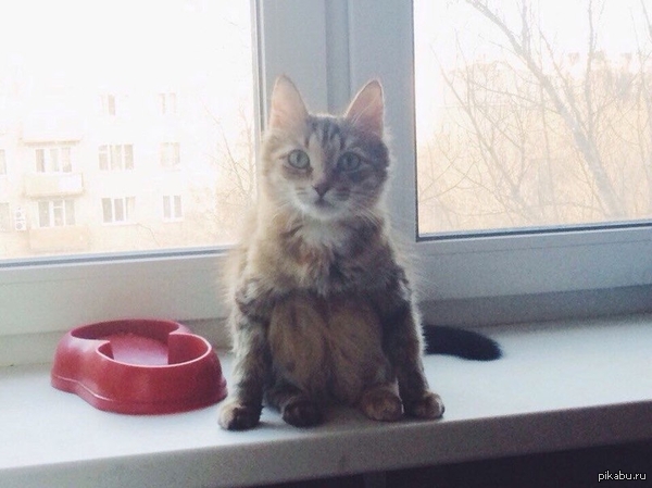   ?   ?