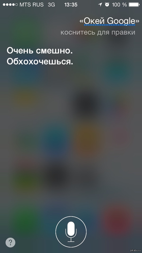 �������� ����