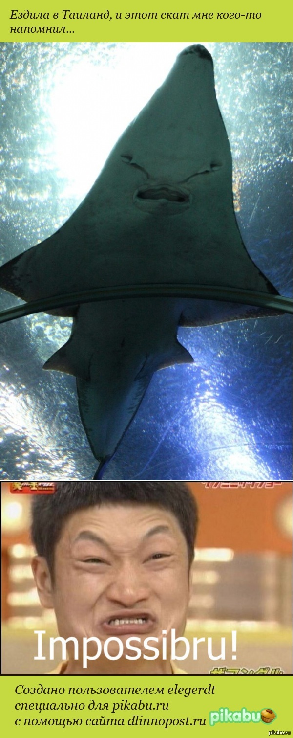 Impossibru vs скат