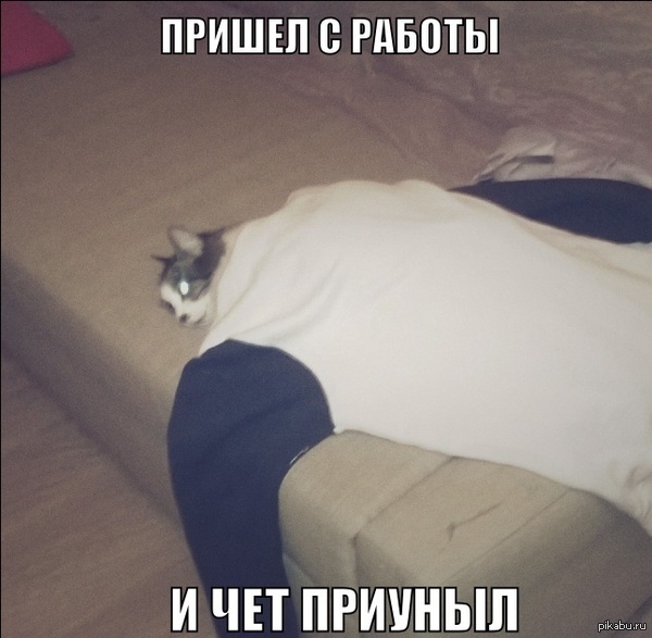 Заголовок