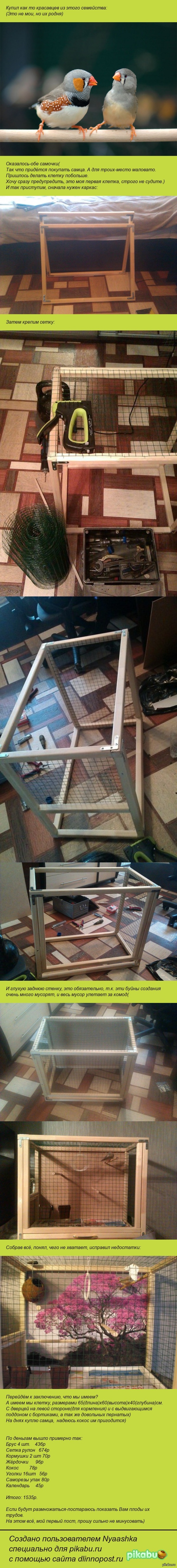 ������ ����