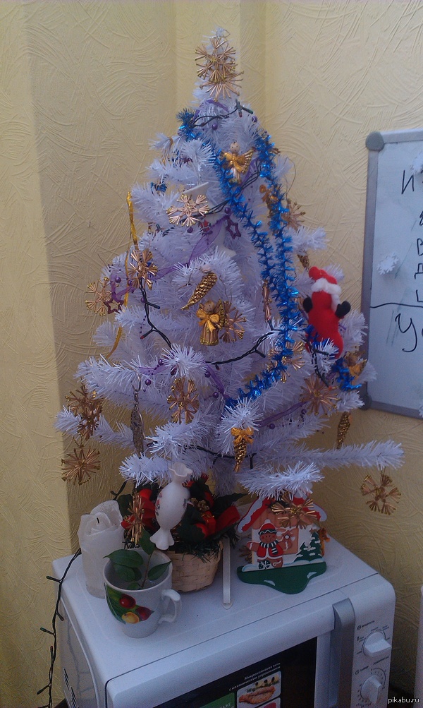 C ����������� ����� ����� � ����������!