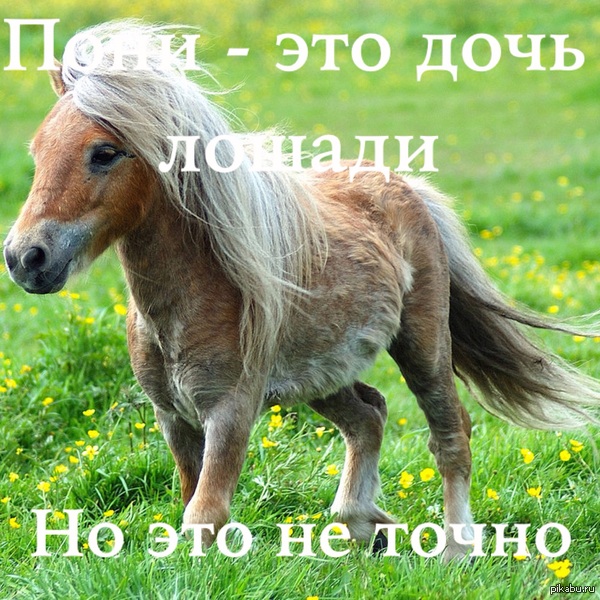         <a href="http://pikabu.ru/story/v_detstve_tak_i_dumal_3248687?s=3">http://pikabu.ru/story/_3248687</a>