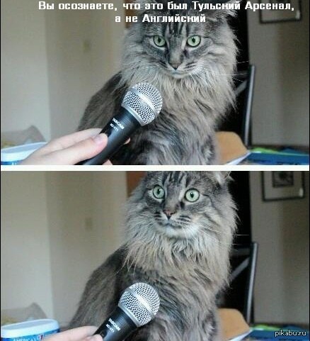 ����� ��������� ����