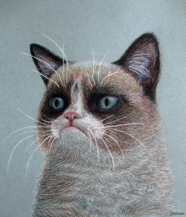  4 ^_^ Grumpy Cat.   https://youtu.be/-qQkOWDRiDs ,    :)