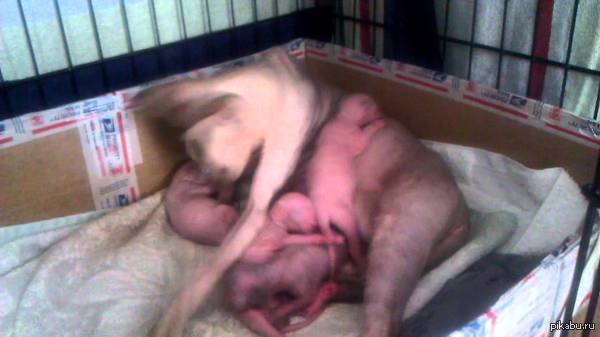 ��� � ���� �������� ����, ������ � ������������� ������� �����. ���!