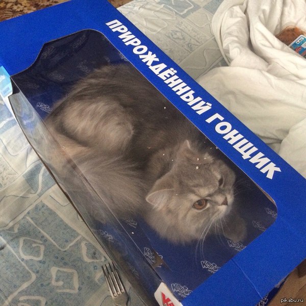 ����� ��������������.