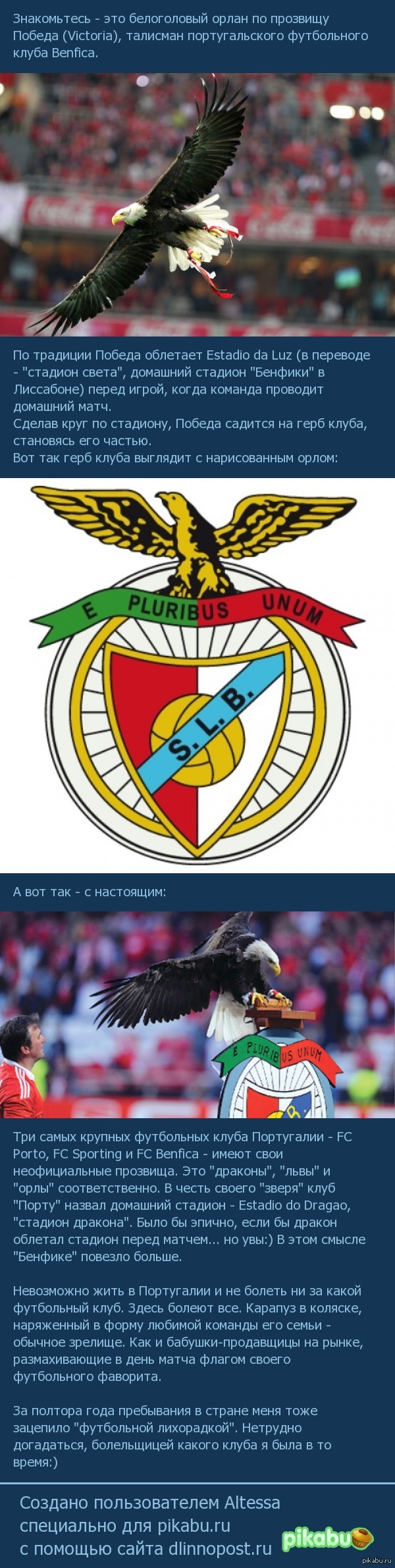        Benfica ()