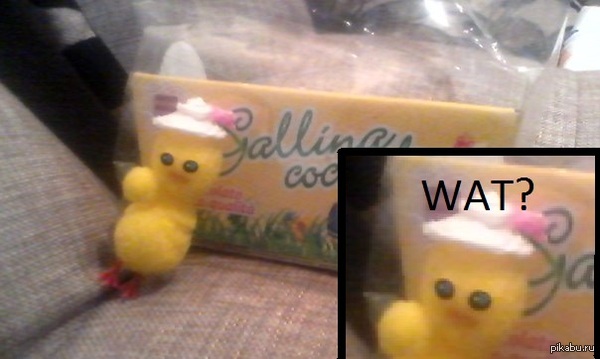 Прислали с Италии конфеты к ним прилагалась цыпленок , походу все очень плохо или я такой везучий ? :((((