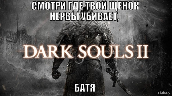Dark Souls 2     - <a href="http://pikabu.ru/story/proshchay_nervyi_3253555">http://pikabu.ru/story/_3253555</a>