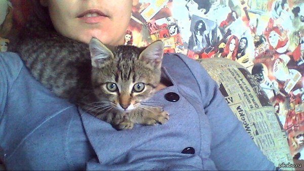 ��� ���� ����������