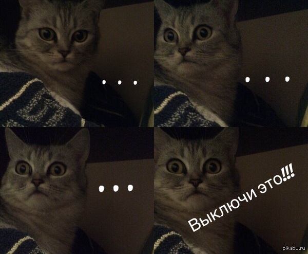 ����� ������������ � ��������.