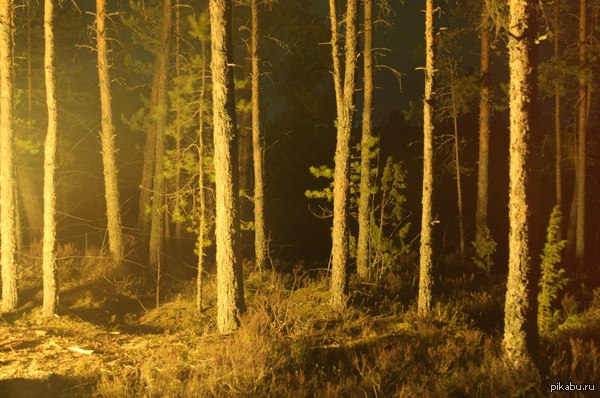 �������, ���� �����