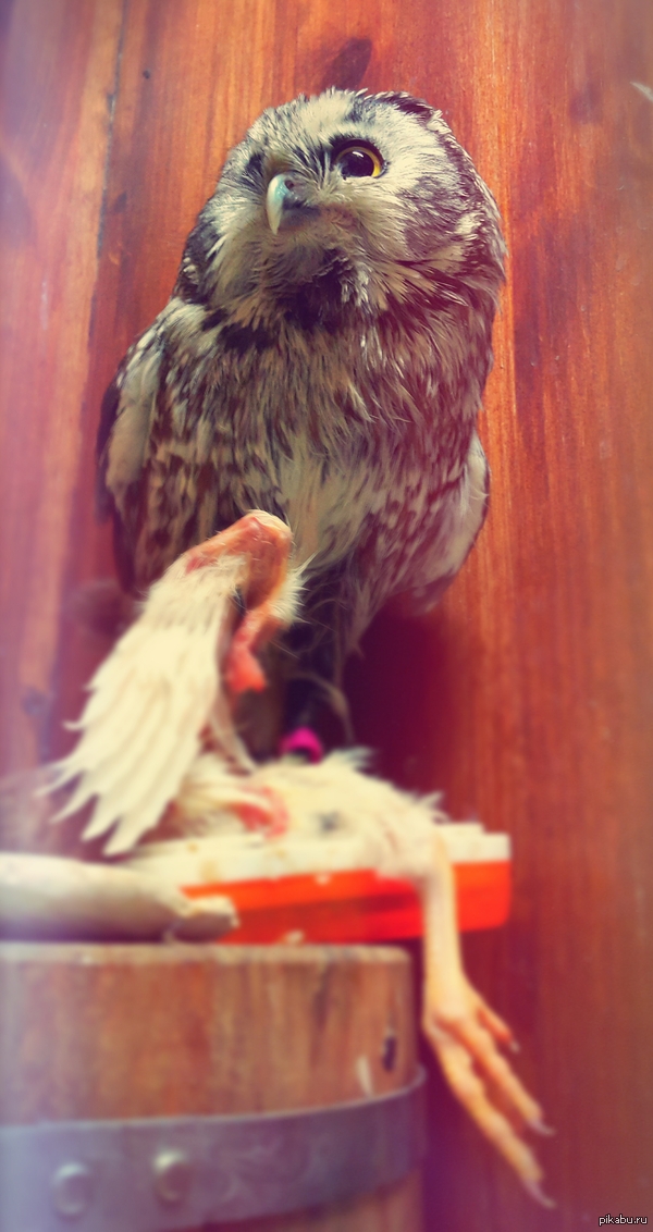 ��� ������ � ������ �� ������� ������.