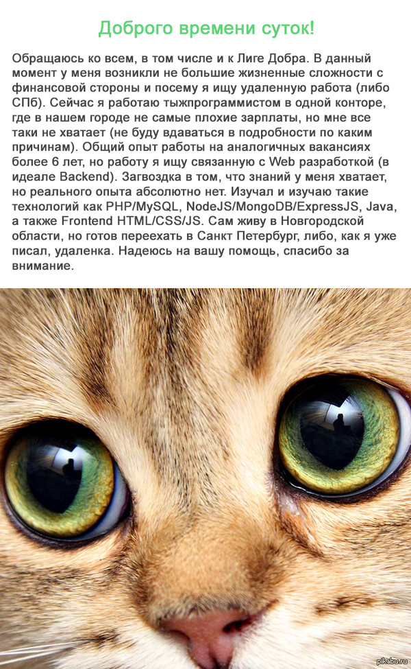 ������ ������ ����