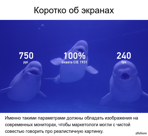 Коротко об экранах | Пикабу