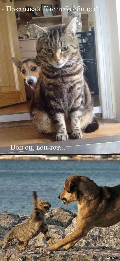 ������ :)