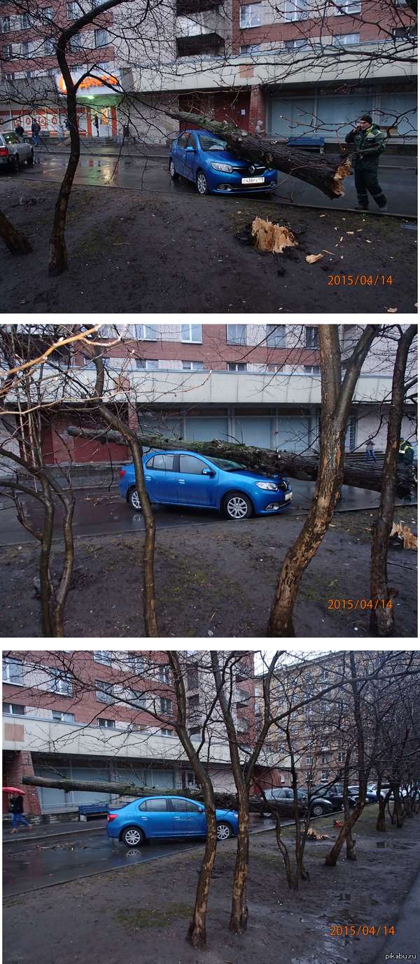 ��� �� ������� ���� ������� �� ��������...