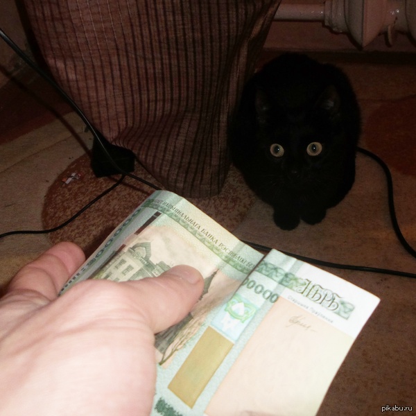 ���!!! ����� �������� �� ������!!! �� ������ �� �����!!! ��� ��� � �����������!!!