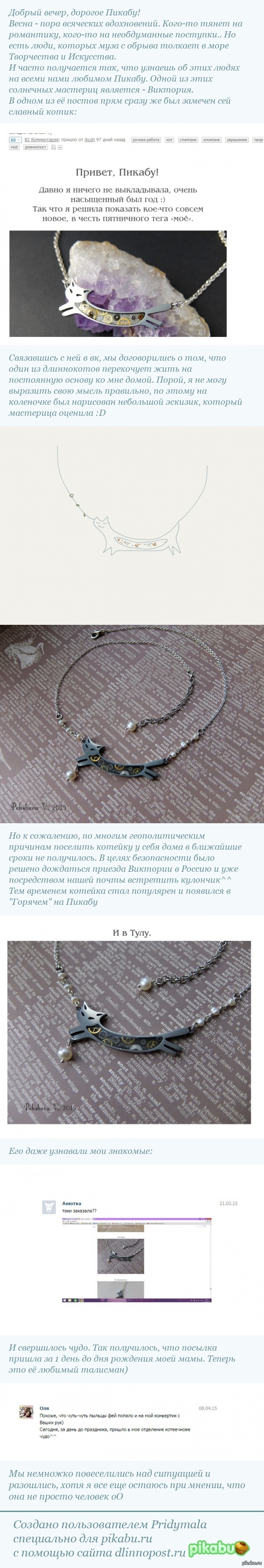 Пост о жизни небольшого длиннокота^^