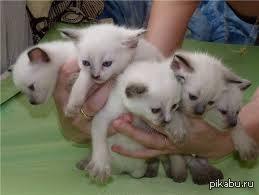 ����������! ������ ���� �����!