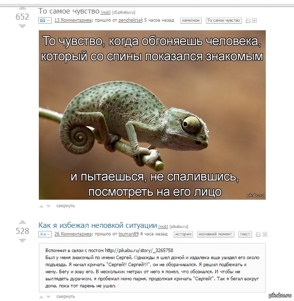 ���������� :�