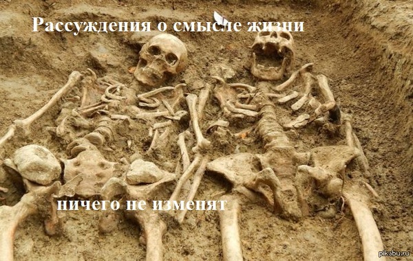   .    ""  