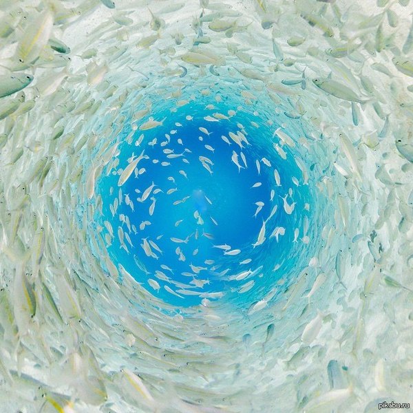 ���������� ���� ��������� ����� � ������ ���