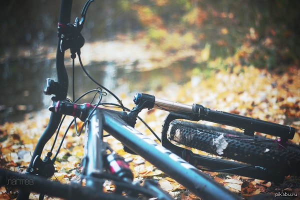 ������������ ���������)